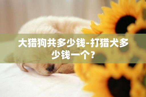 大獵狗共多少錢-打獵犬多少錢一個？