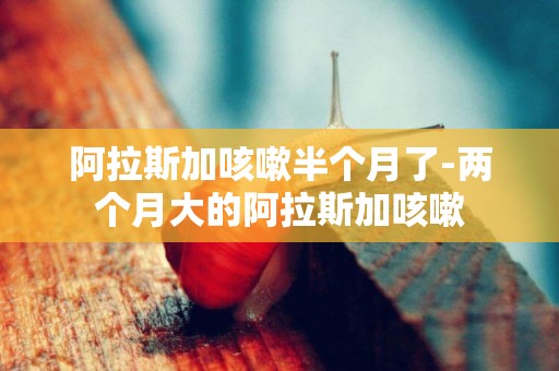 阿拉斯加咳嗽半個月了-兩個月大的阿拉斯加咳嗽