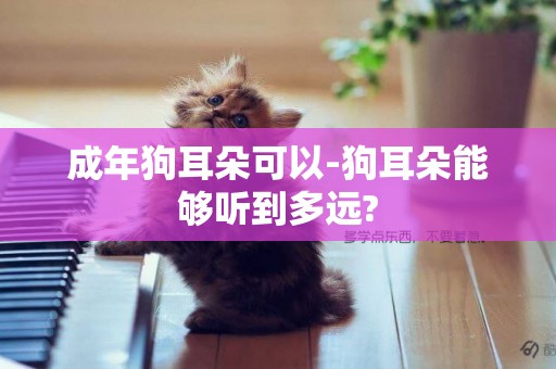 成年狗耳朵可以-狗耳朵能夠聽到多遠?