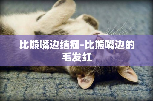 比熊嘴邊結痂-比熊嘴邊的毛發紅