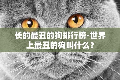 長的最丑的狗排行榜-世界上最丑的狗叫什么？