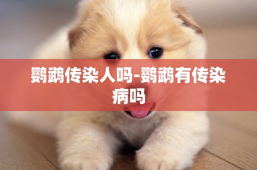 鸚鵡傳染人嗎-鸚鵡有傳染病嗎