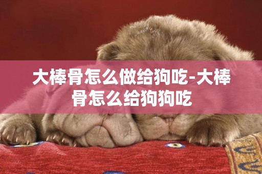 大棒骨怎么做給狗吃-大棒骨怎么給狗狗吃