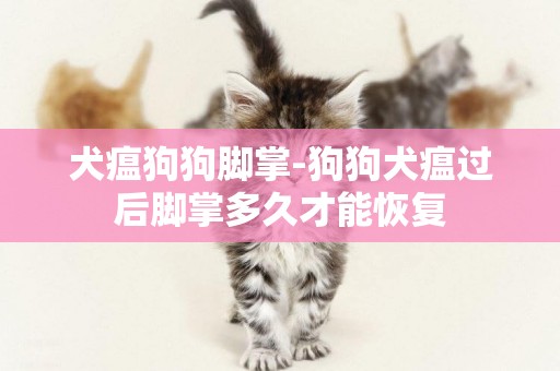 犬瘟狗狗腳掌-狗狗犬瘟過后腳掌多久才能恢復