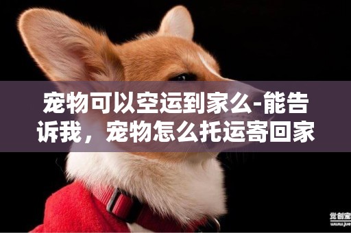 寵物可以空運到家么-能告訴我，寵物怎么托運寄回家么？