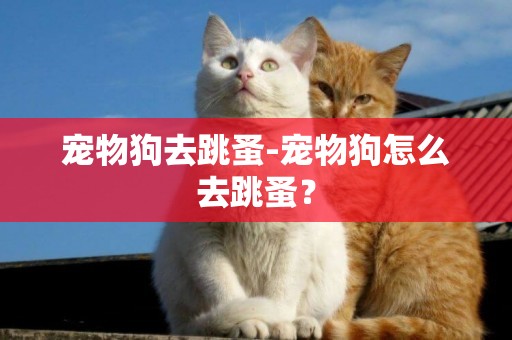 寵物狗去跳蚤-寵物狗怎么去跳蚤？