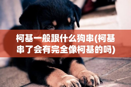 柯基一般跟什么狗串(柯基串了會有完全像柯基的嗎) 
