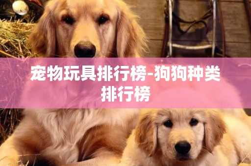 寵物玩具排行榜-狗狗種類排行榜