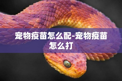 寵物疫苗怎么配-寵物疫苗怎么打