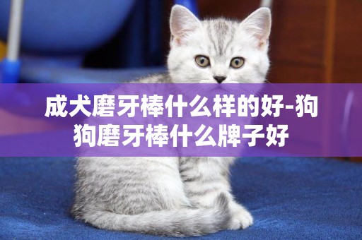 成犬磨牙棒什么樣的好-狗狗磨牙棒什么牌子好