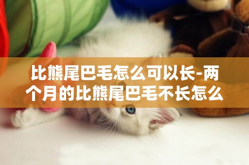 比熊尾巴毛怎么可以長-兩個月的比熊尾巴毛不長怎么回事？