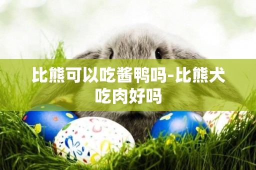 比熊可以吃醬鴨嗎-比熊犬吃肉好嗎