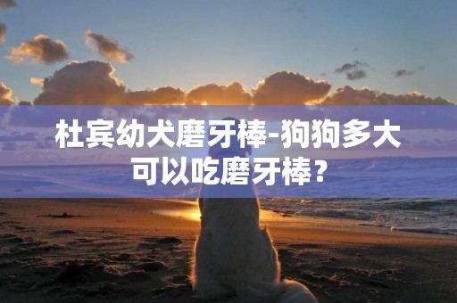 杜賓幼犬磨牙棒-狗狗多大可以吃磨牙棒？