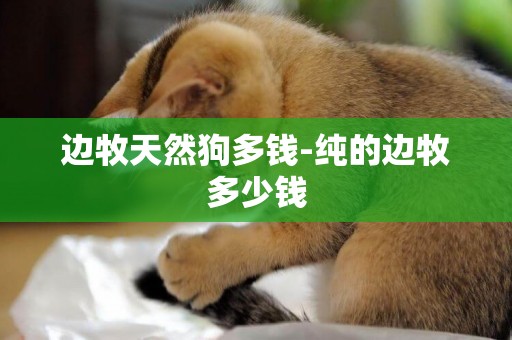 邊牧天然狗多錢-純的邊牧多少錢