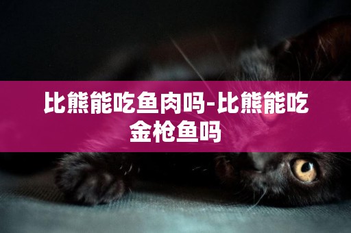 比熊能吃魚肉嗎-比熊能吃金槍魚嗎