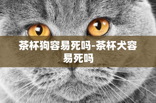 茶杯狗容易死嗎-茶杯犬容易死嗎