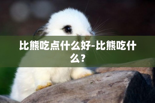 比熊吃點什么好-比熊吃什么？