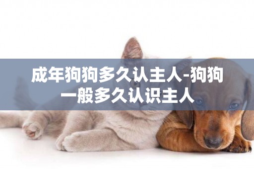 成年狗狗多久認主人-狗狗一般多久認識主人