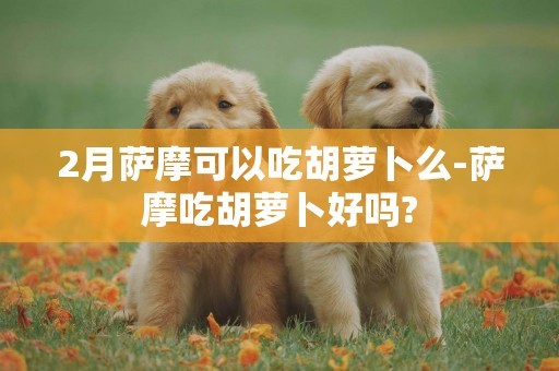 2月薩摩可以吃胡蘿卜么-薩摩吃胡蘿卜好嗎?