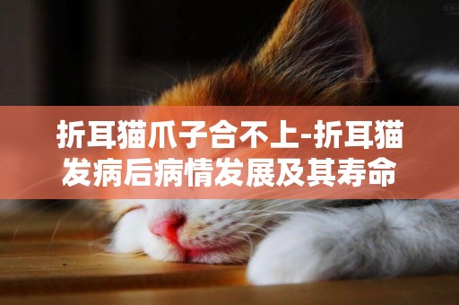 折耳貓爪子合不上-折耳貓發病后病情發展及其壽命