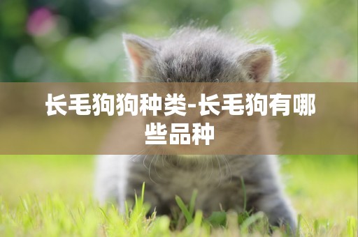 長毛狗狗種類-長毛狗有哪些品種