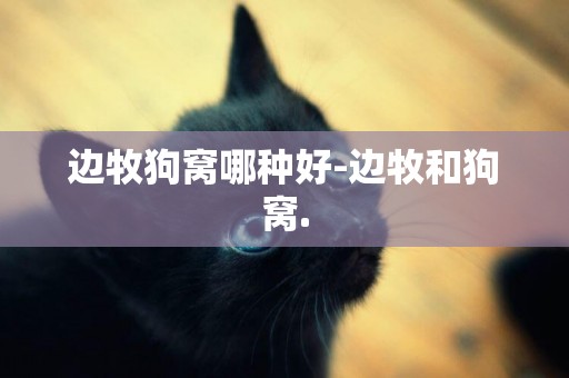 邊牧狗窩哪種好-邊牧和狗窩.