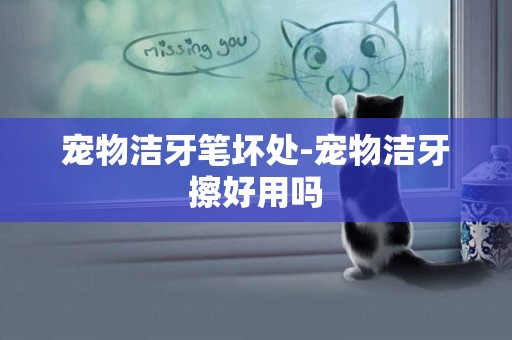 寵物潔牙筆壞處-寵物潔牙擦好用嗎