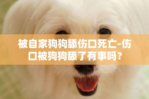 被自家狗狗舔傷口死亡-傷口被狗狗舔了有事嗎？