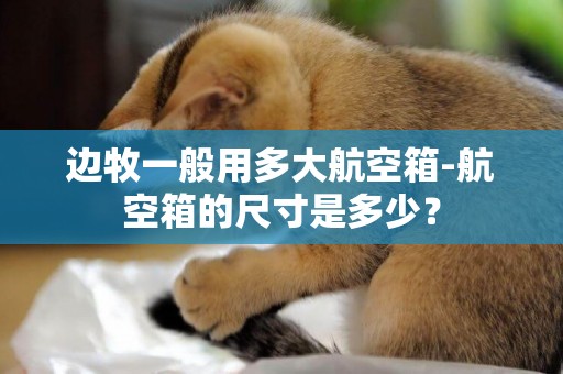邊牧一般用多大航空箱-航空箱的尺寸是多少？