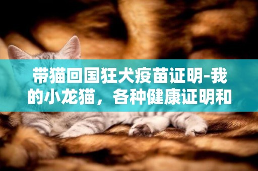 帶貓回國狂犬疫苗證明-我的小龍貓，各種健康證明和防疫證明都齊全，回國的時候想帶上她，不知道需要特殊的