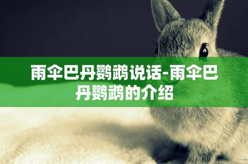 雨傘巴丹鸚鵡說話-雨傘巴丹鸚鵡的介紹