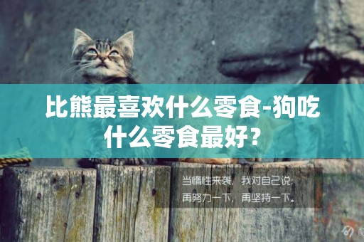 比熊最喜歡什么零食-狗吃什么零食最好？