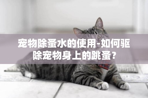 寵物除蚤水的使用-如何驅除寵物身上的跳蚤？