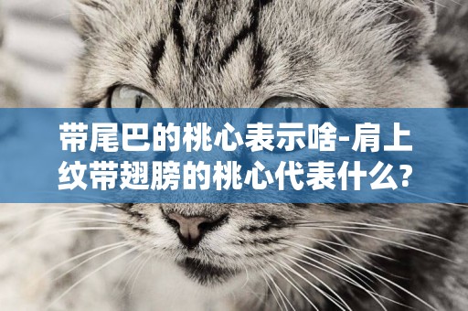 帶尾巴的桃心表示啥-肩上紋帶翅膀的桃心代表什么?