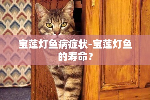 寶蓮燈魚病癥狀-寶蓮燈魚的壽命？