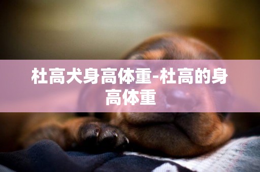 杜高犬身高體重-杜高的身高體重