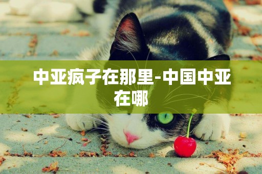 中亞瘋子在那里-中國中亞在哪