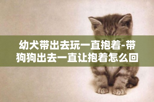 幼犬帶出去玩一直抱著-帶狗狗出去一直讓抱著怎么回事