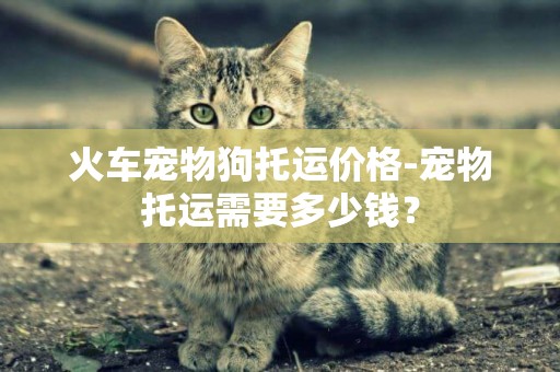 火車寵物狗托運價格-寵物托運需要多少錢？