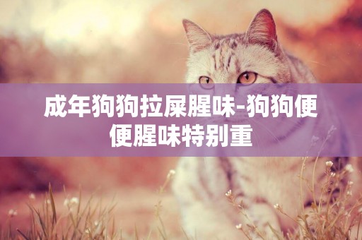 成年狗狗拉屎腥味-狗狗便便腥味特別重