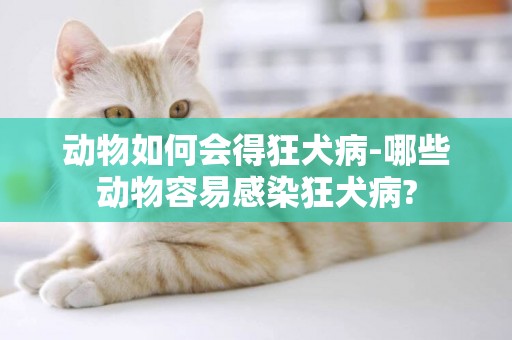 動物如何會得狂犬病-哪些動物容易感染狂犬病?