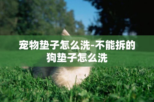 寵物墊子怎么洗-不能拆的狗墊子怎么洗