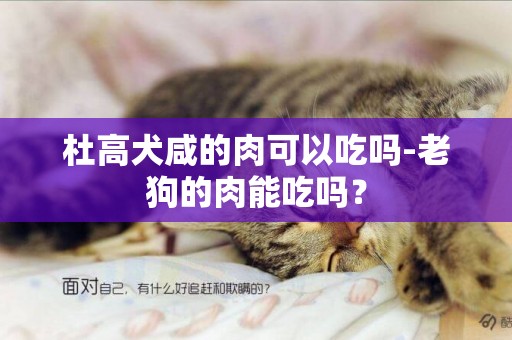 杜高犬咸的肉可以吃嗎-老狗的肉能吃嗎？