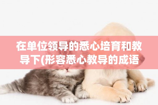 在單位領導的悉心培育和教導下(形容悉心教導的成語) 