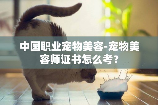 中國職業寵物美容-寵物美容師證書怎么考？