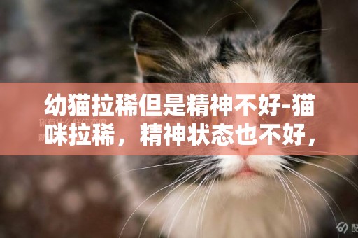 幼貓拉稀但是精神不好-貓咪拉稀，精神狀態也不好，怎么辦？