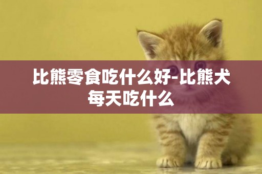 比熊零食吃什么好-比熊犬每天吃什么