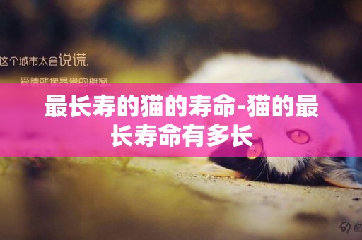 最長壽的貓的壽命-貓的最長壽命有多長