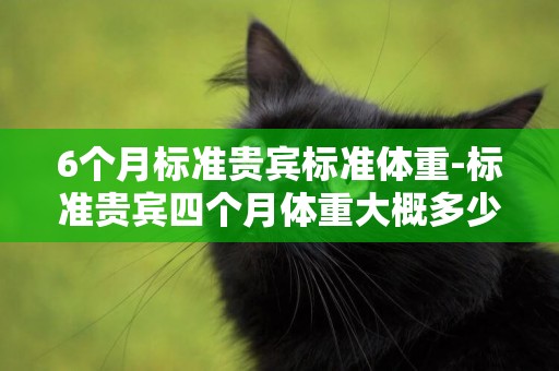 6個月標準貴賓標準體重-標準貴賓四個月體重大概多少