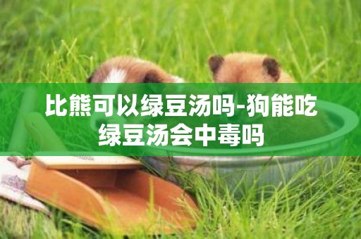 比熊可以綠豆湯嗎-狗能吃綠豆湯會中毒嗎